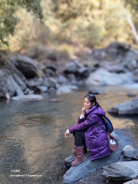 【南投】合歡溪步道：遠得要命的櫻花鉤吻鮭2912246