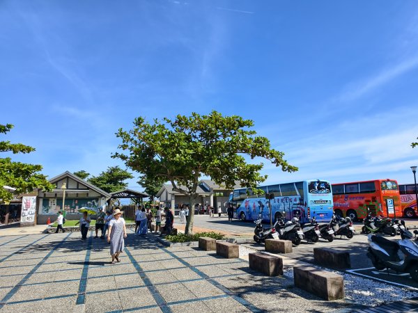 [漫遊縱谷 愛在花東-03/10] 2025_1011 三仙台步道2913161