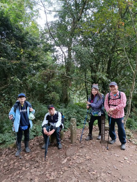 四訪苗栗的花果山-小百岳#037馬那邦山、雪霸國家公園管理處【小百岳集起來、苗栗-臺灣百大必訪步道】2394243