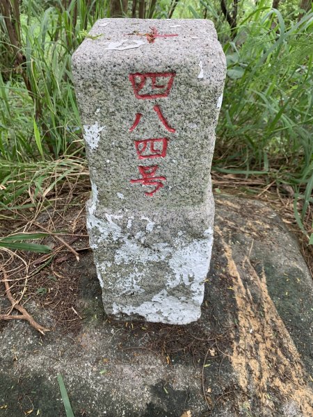 20250830台南大潭山2877101