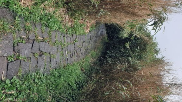 收集小百岳 002 台北七星山 20210801(一)1792567