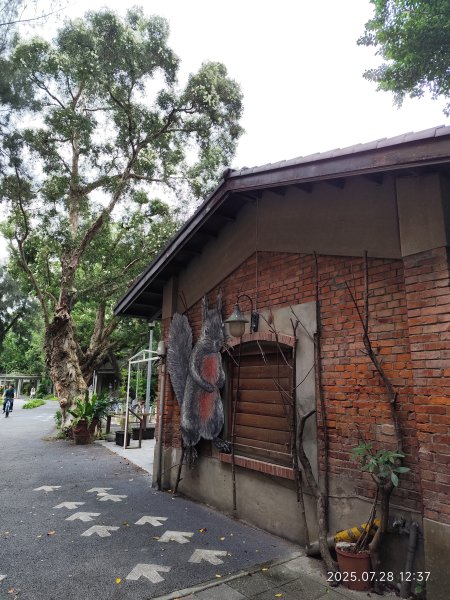 臺大舟山路、大港墘公園、成功高中【臺北健走趣】2848145