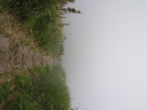 第二段：二子坪→小油坑2759596