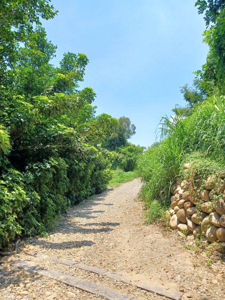【台中大甲】規劃完善的親民步道。 桂花泉登山步道2862459