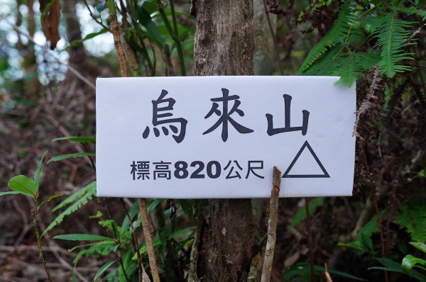 新北 烏來 烏來山、大桶山、四崁水山2829249