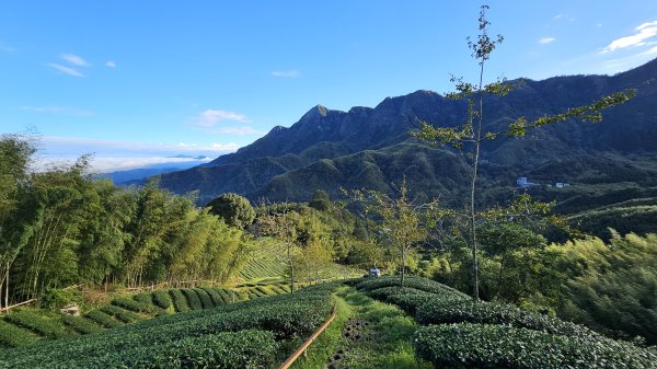 241122-慢走溪頭六連峰（大崙頭山、貓冬望山、民眾坪山、樟空崙山、志騰山、竹崙山）。美美兔沒在怕2654740