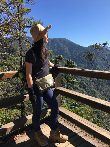 懼高症死都不爬但還是爬了的鳶嘴山777198