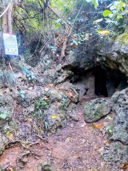 柴山之美~2934536