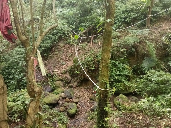 平溪區南山坪蝙蝠洞(濕洞)+平湖山+平湖尖+蝙蝠洞(乾洞)O型2833869