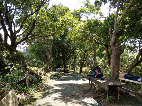 九五峰步道1453906