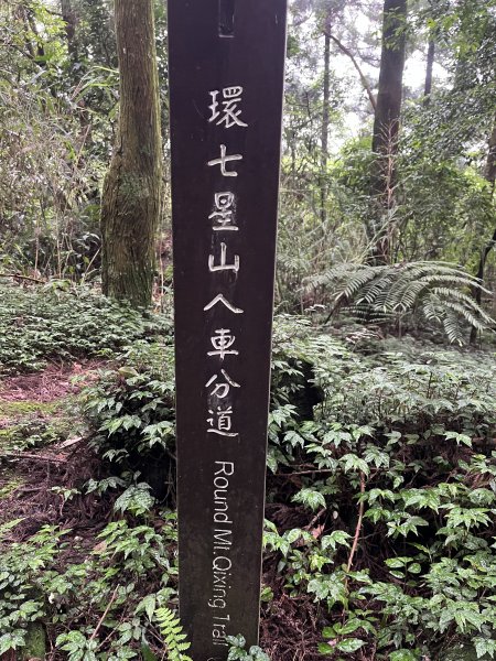 2023_0513_環七星山人車分道(走遍陽明山任務)封面