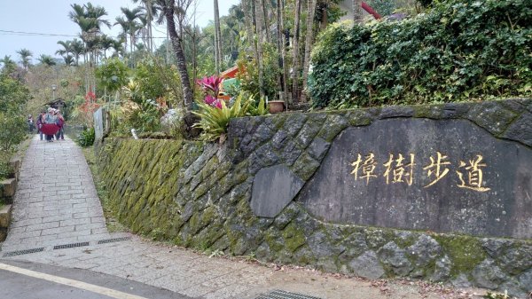 銀河洞-雨天散步202103051333220