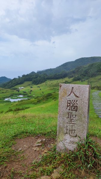 灣坑頭山2252385