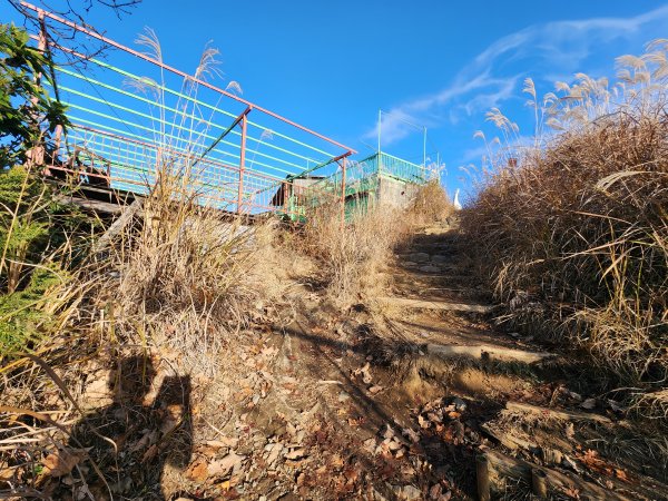 20251127陣馬山至高尾山2959071