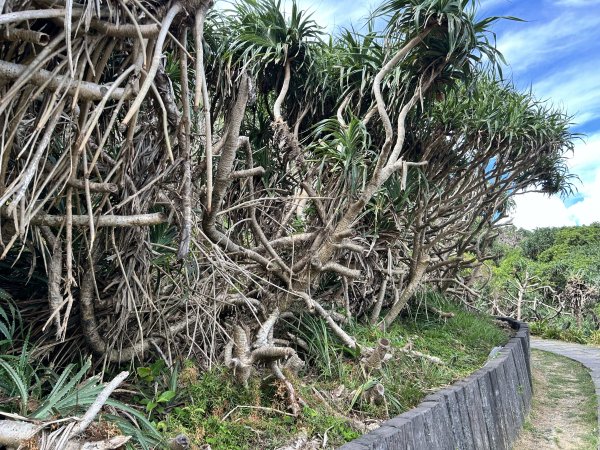 鼻頭角步道2872168