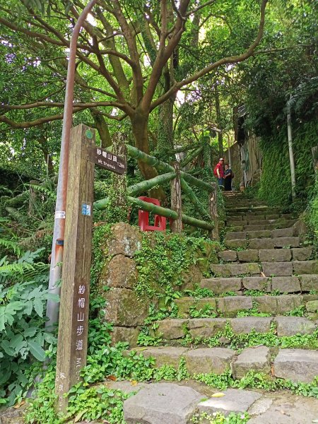 陽明醫院舊址、陽明山前山公園、紗帽山步道、紗帽路、臺北市教師研習中心【走遍陽明山】2121937