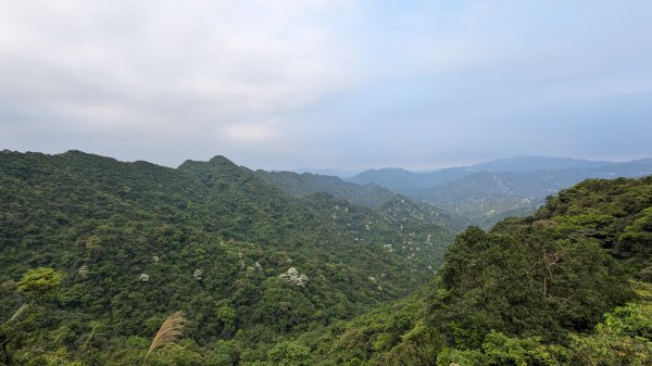 二格山登山步道 栳寮線2500999