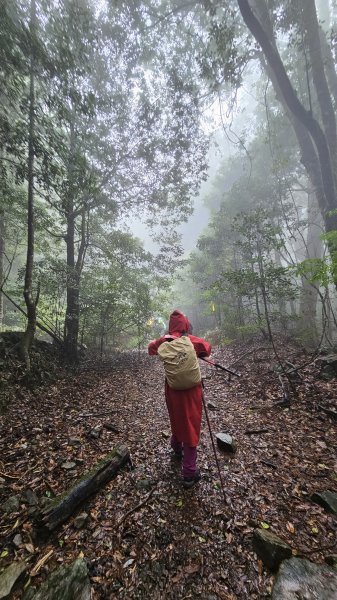 【這樣走波津加也行！】大雪山下波津加進谷關。3025907