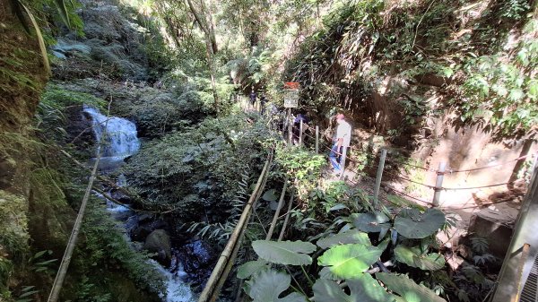 20251116 武界壩－摩摩納爾瀑布2937965