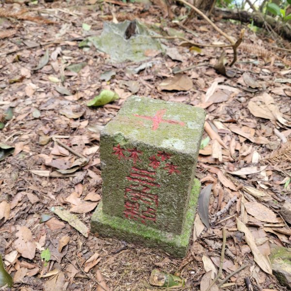 丸田砲台遺址步道2454174