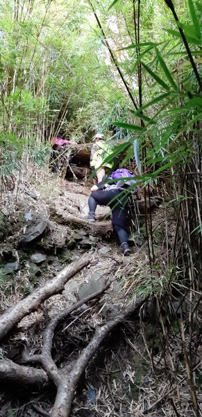 白姑大山之旅743539