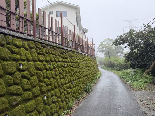 [樟之細路_第一大段RSA06] 2026_0329 打牛崎古道3027167