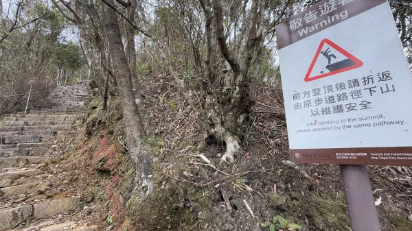親民石階路線的平溪二尖|石筍尖 |薯榔尖|峯花雪月2698065