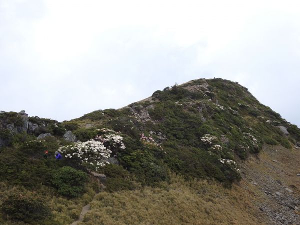 20180429 哈哈山石門北峰步道321964