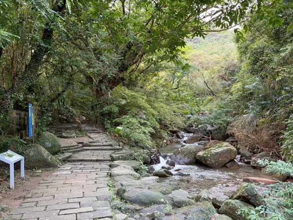 新北 貢寮 草嶺古道2955659