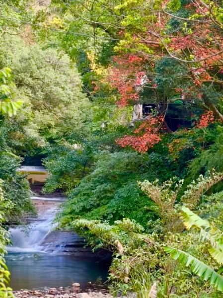 登峰古圳訪高頂山 北五指山 出荷蘭古道 快閃聖人瀑布2981952