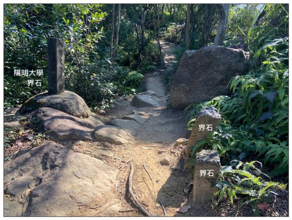 烏尖連峰縱走18基石 ( 唭哩岸山、軍艦岩、丹鳳山 )2980910