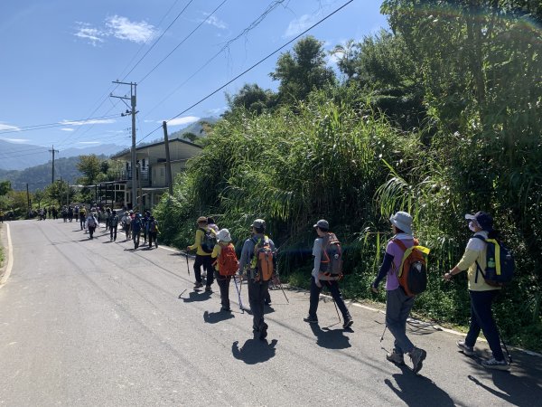 20250816嘉義鼠眉毛O繞2864064