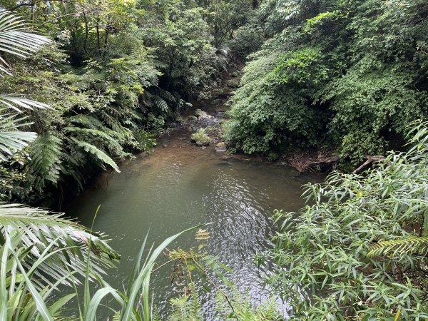 [微笑山線_第十二段] 2025_0803 五分山系_望古瀑布2851540