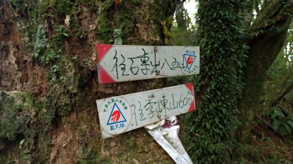 小百岳+古道~八五山古道登李崠山(#2618109