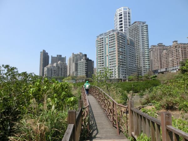 紅樹林步道．淡水文化園區111114