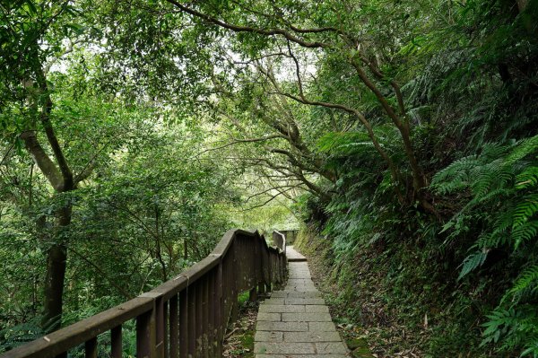 臺北 南港 南港山、拇指山、象、獅、豹、虎、四分里山、茅草埔山2803418