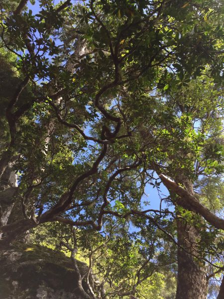 玉山前峰一日遊221014