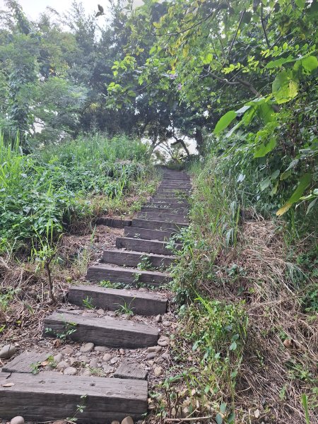 桃源里森林步道+龍鳳谷步道+坑子內山202509062880247