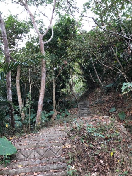 烏山步道北段入口雲山寺走刣牛湖山往返507927