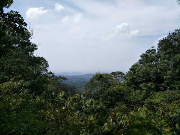 挑炭古道(三通嶺古道) 苗栗三義 2017 09 30175451