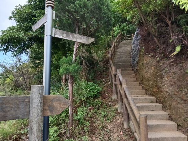 瑞芳區金瓜石砲台山+無耳茶壺山(黃金三稜)+煙囪(山)稜(黃金二稜)+水管路O型2926187