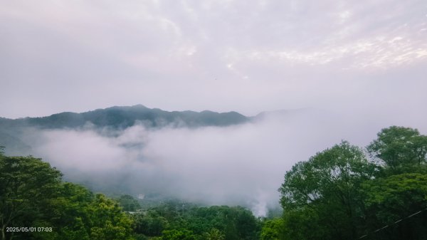 翡翠水庫壩頂 #火燒雲雲海 #日出雲海 #鱷魚島 #藍腹鷴 4/292773797