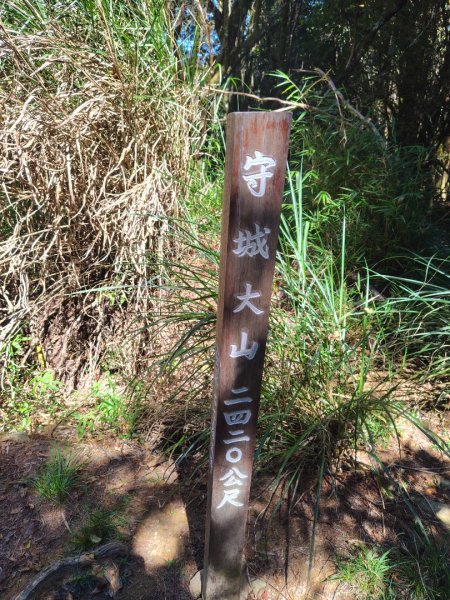 守關山南峰 守關山 守城大山2919161