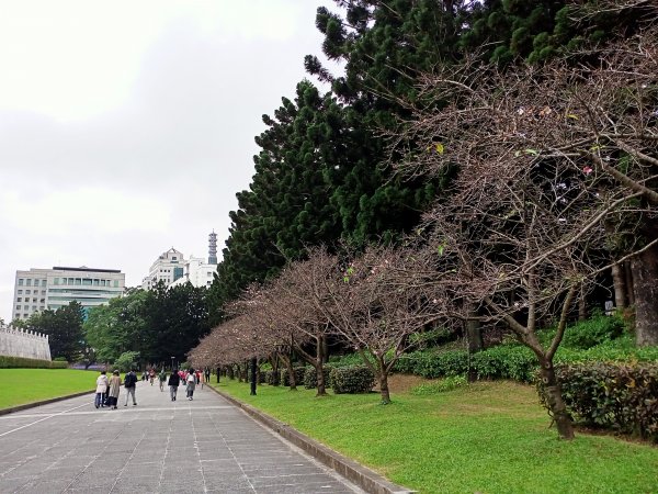 中正紀念堂走春踏青趣【齊心鞋力尋寶去】2006680