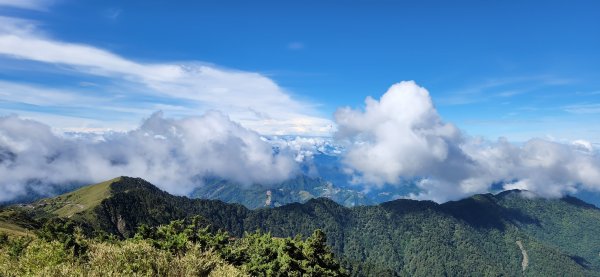 20220604 合歡主峰、石門山、合歡尖山2314537