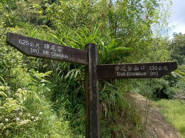 汐止區姜子寮田園步道+旗尾崙+姜子寮絕壁、瀑布O型2822249