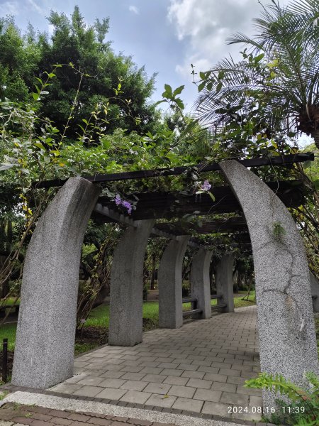 大安森林公園、永康公園、大港墘公園 - 內科嘉年華會 戲曲•特技之夜2577757