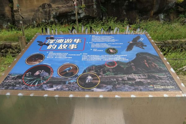 深澳 酋長岩  象鼻岩步道，深澳漁港海天步道，野柳地質公園。鬼斧神工的，深澳岬角2172445