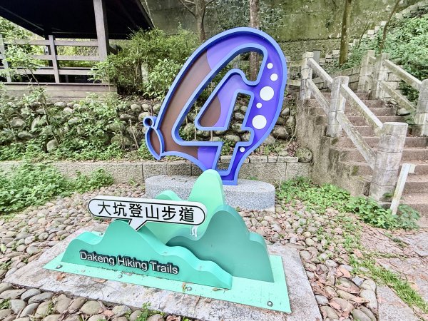 好久沒來大坑4號步道 2026.6.243079529
