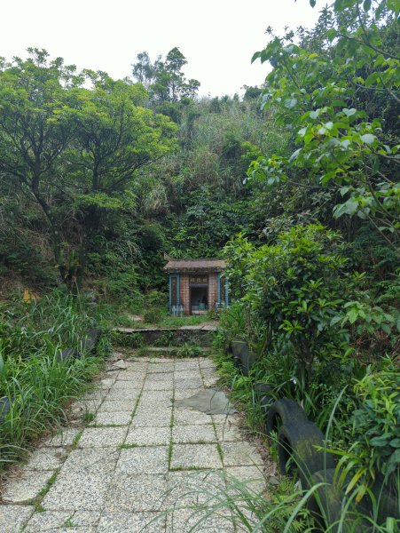 2025.05.03－燦光寮山O行縱走2782454